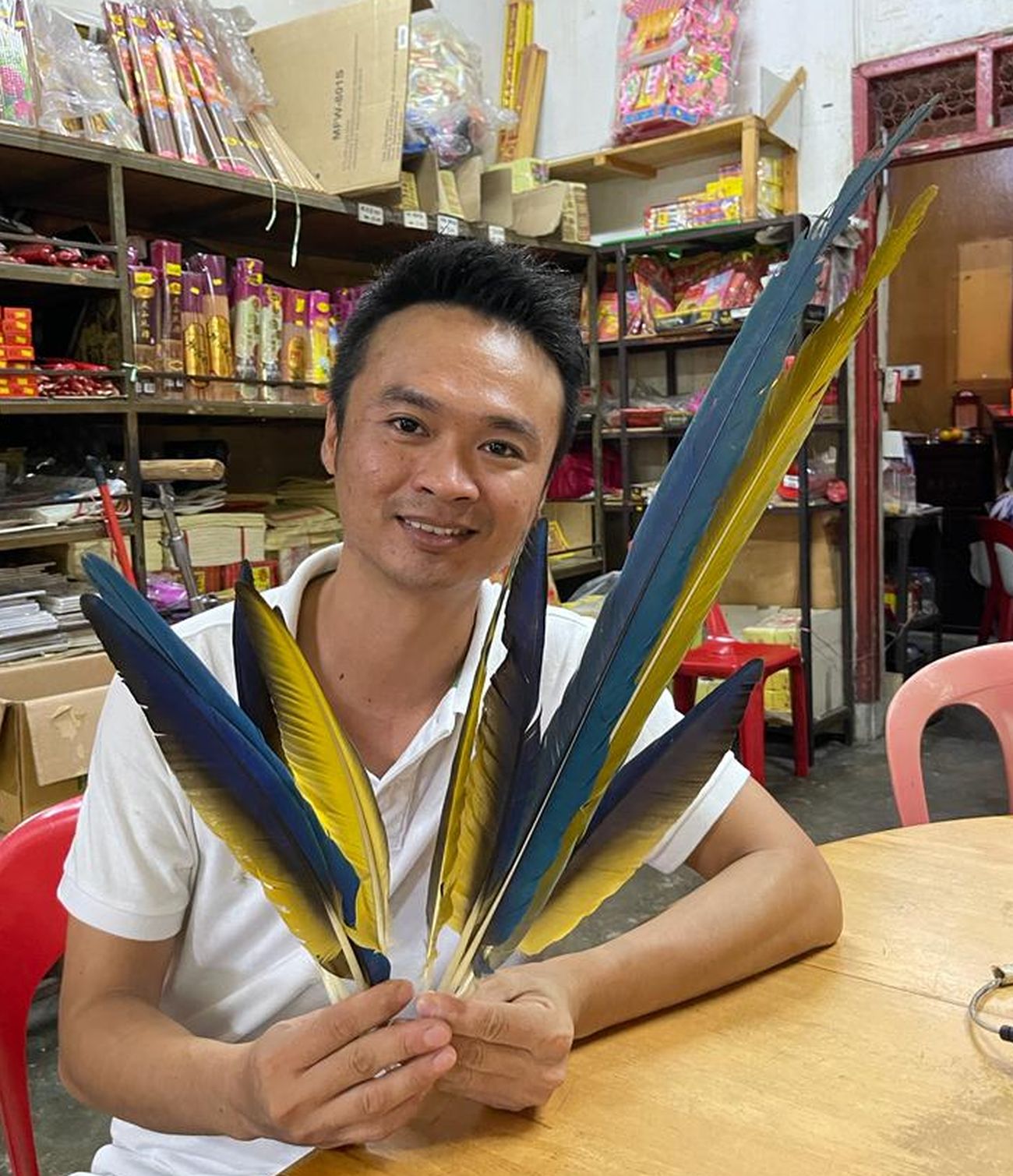 （古城封底主文）【带你去找爱】：放飞鹦鹉的爱