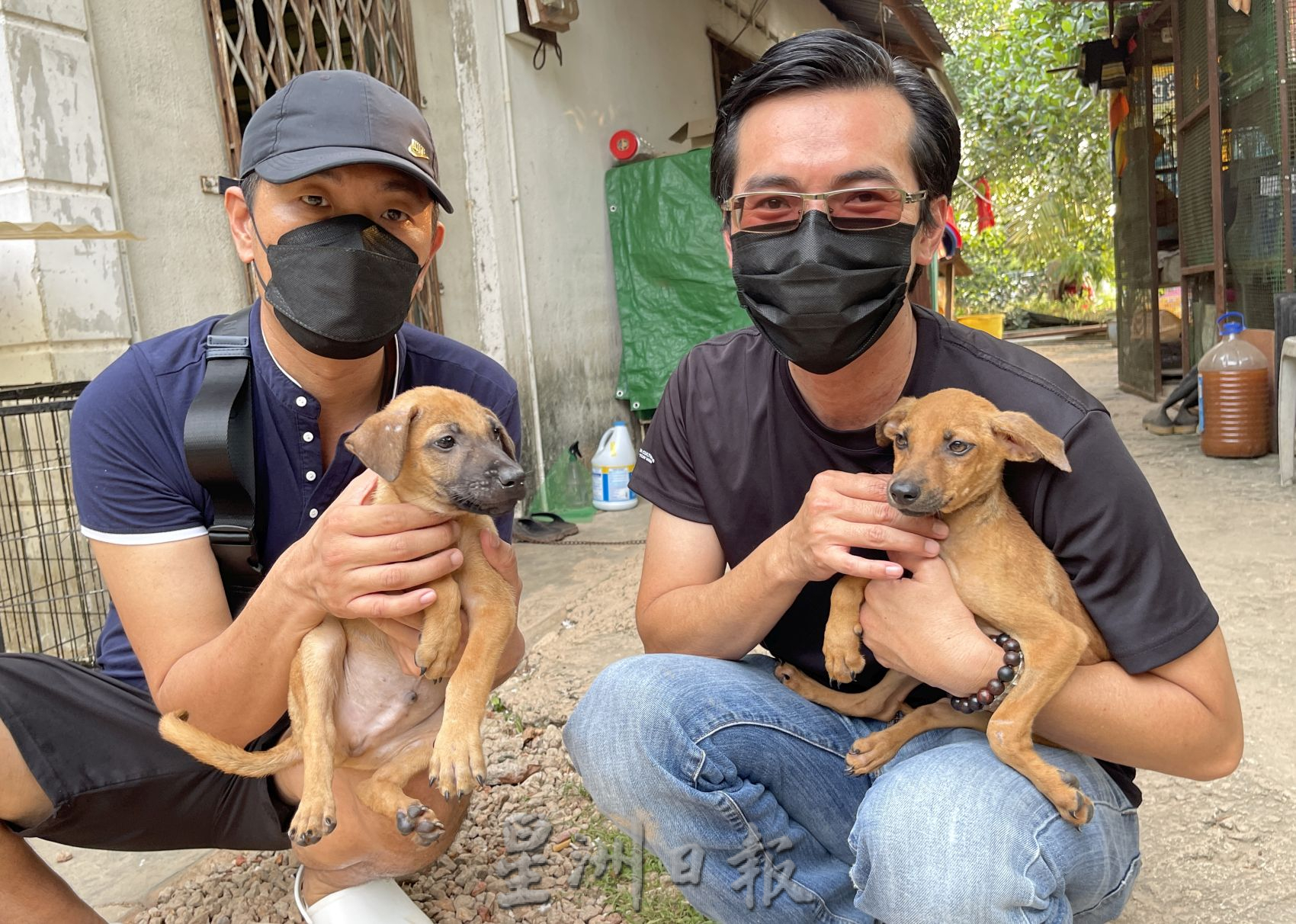(古城封底主文)【带你去找爱】:浪浪的重生