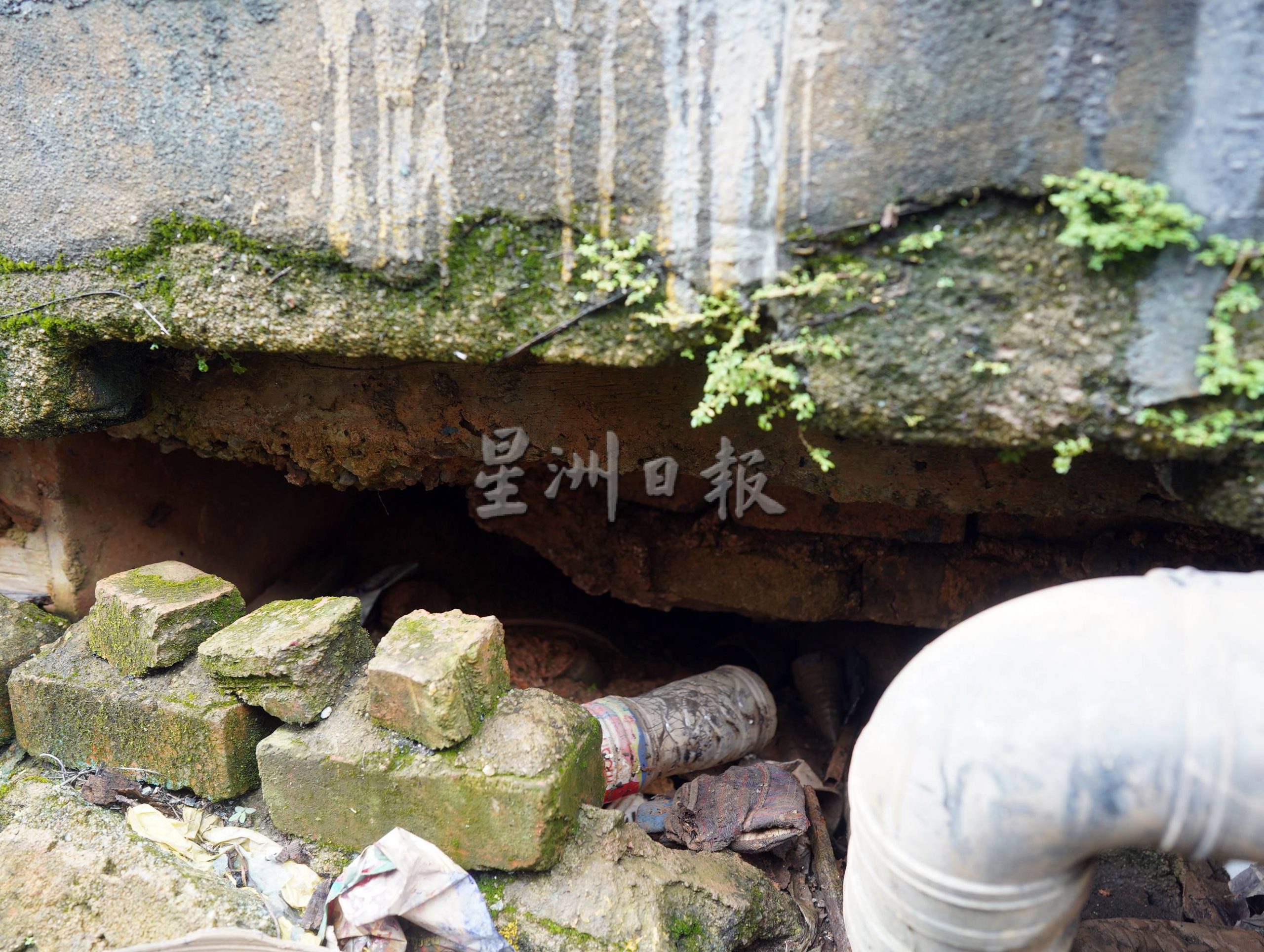 (古城封面主文)默迪卡再也花园80至90%单位地底呈空,匿藏蛇鼠