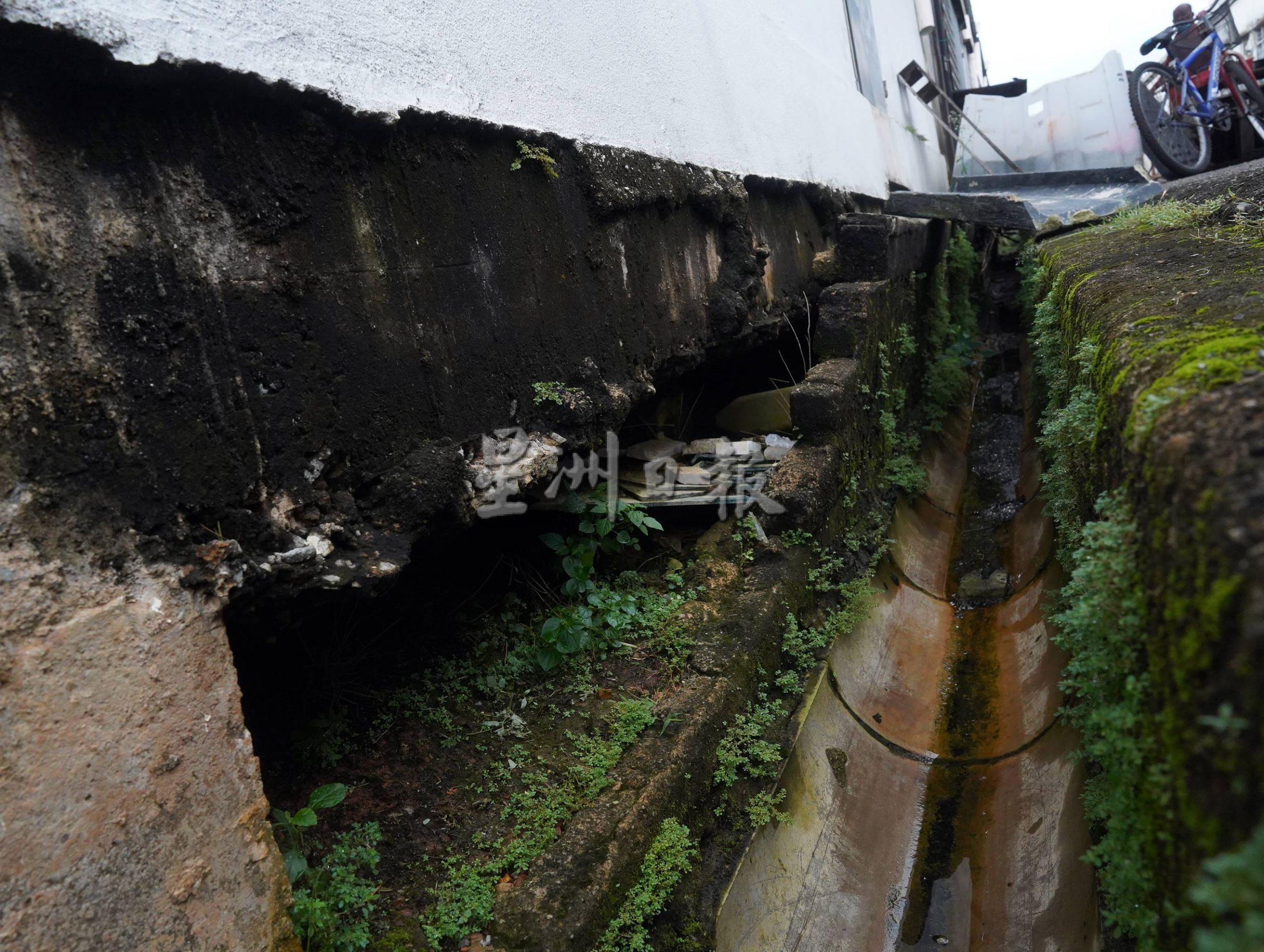 (古城封面主文)默迪卡再也花园80至90%单位地底呈空,匿藏蛇鼠