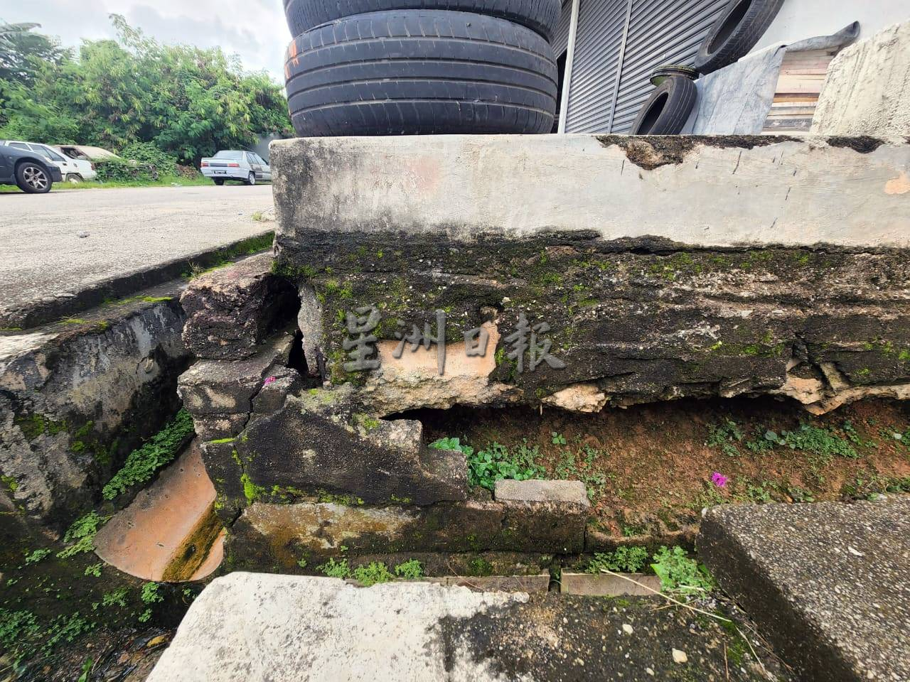 (古城封面主文)默迪卡再也花园80至90%单位地底呈空,匿藏蛇鼠