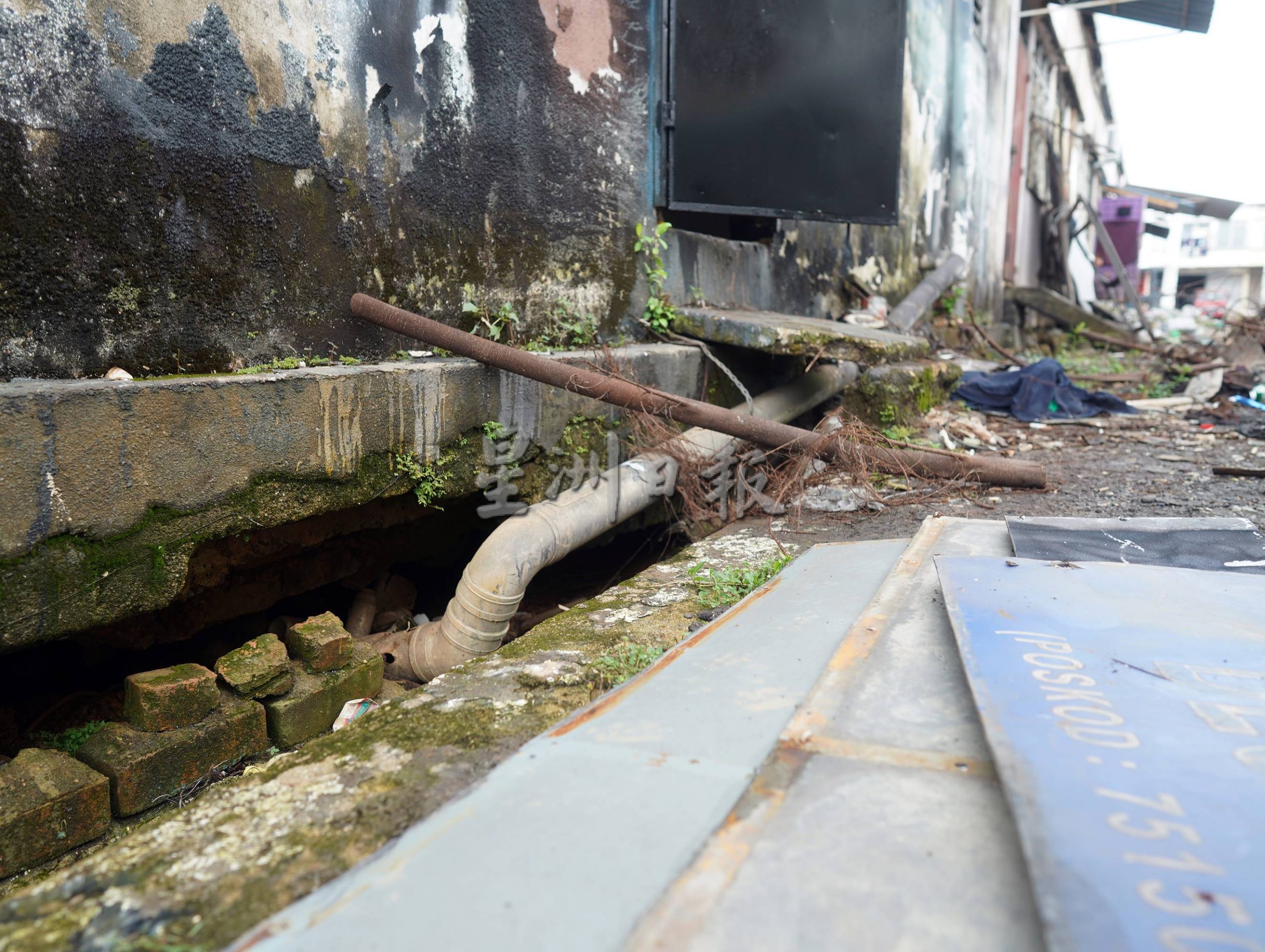 (古城封面主文)默迪卡再也花园80至90%单位地底呈空,匿藏蛇鼠