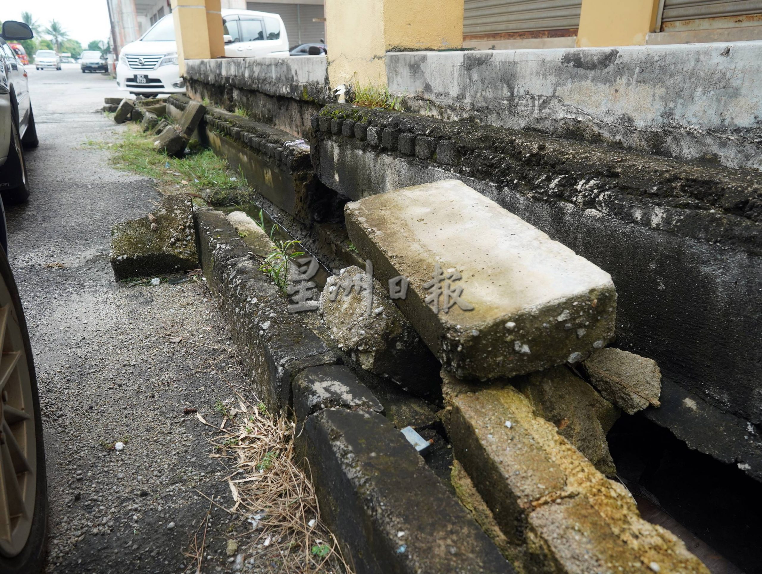 (古城封面主文)默迪卡再也花园80至90%单位地底呈空,匿藏蛇鼠