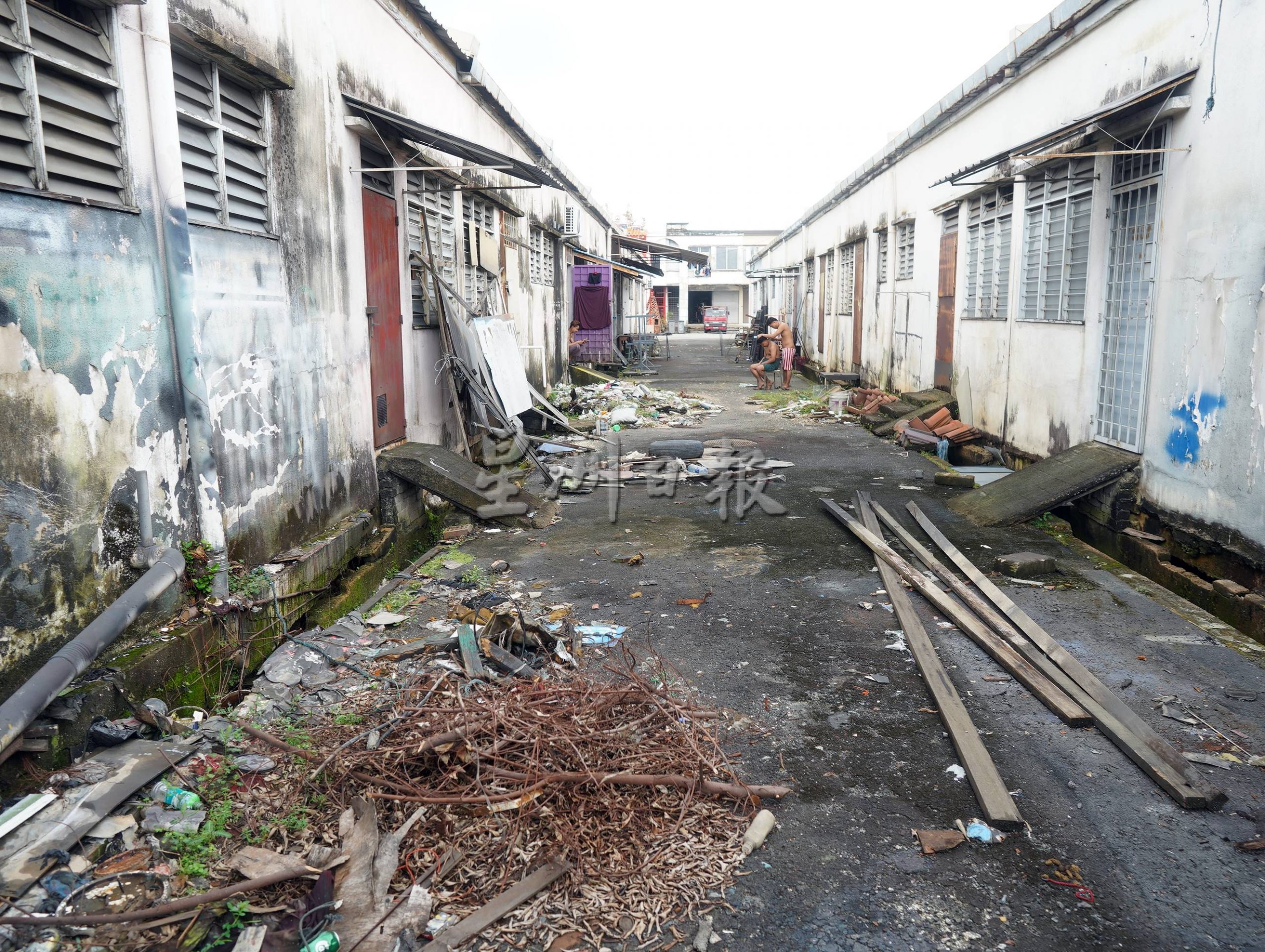 (古城封面主文)默迪卡再也花园80至90%单位地底呈空,匿藏蛇鼠