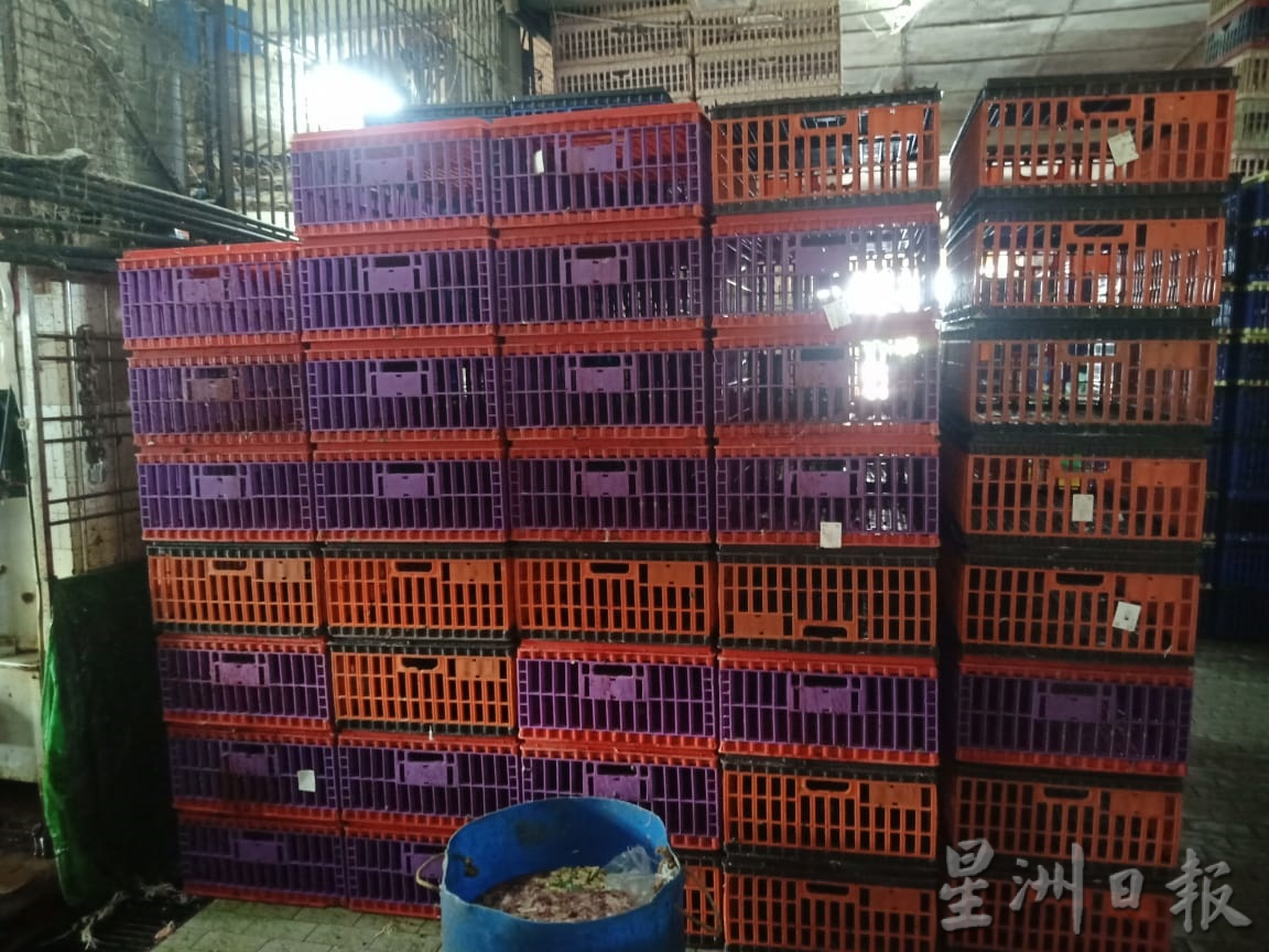 （大北马）宰鸡场休业2天 鸡肉市场供应吃紧