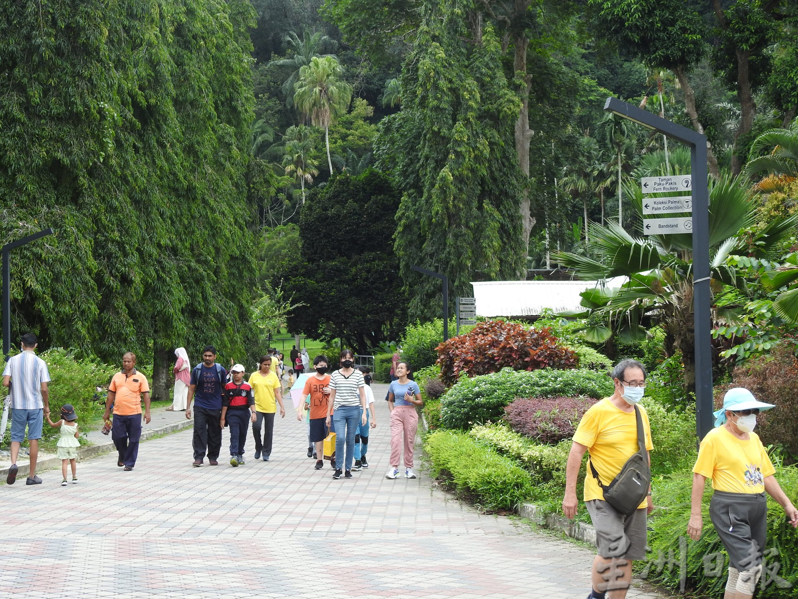 （大北马）游客脱下口罩呼吸百年植物园清新的空气