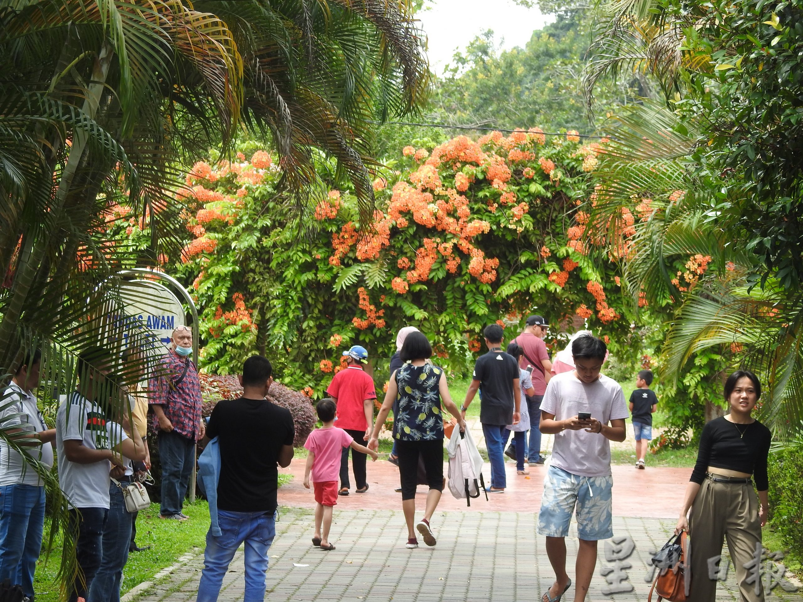 （大北马）游客脱下口罩呼吸百年植物园清新的空气
