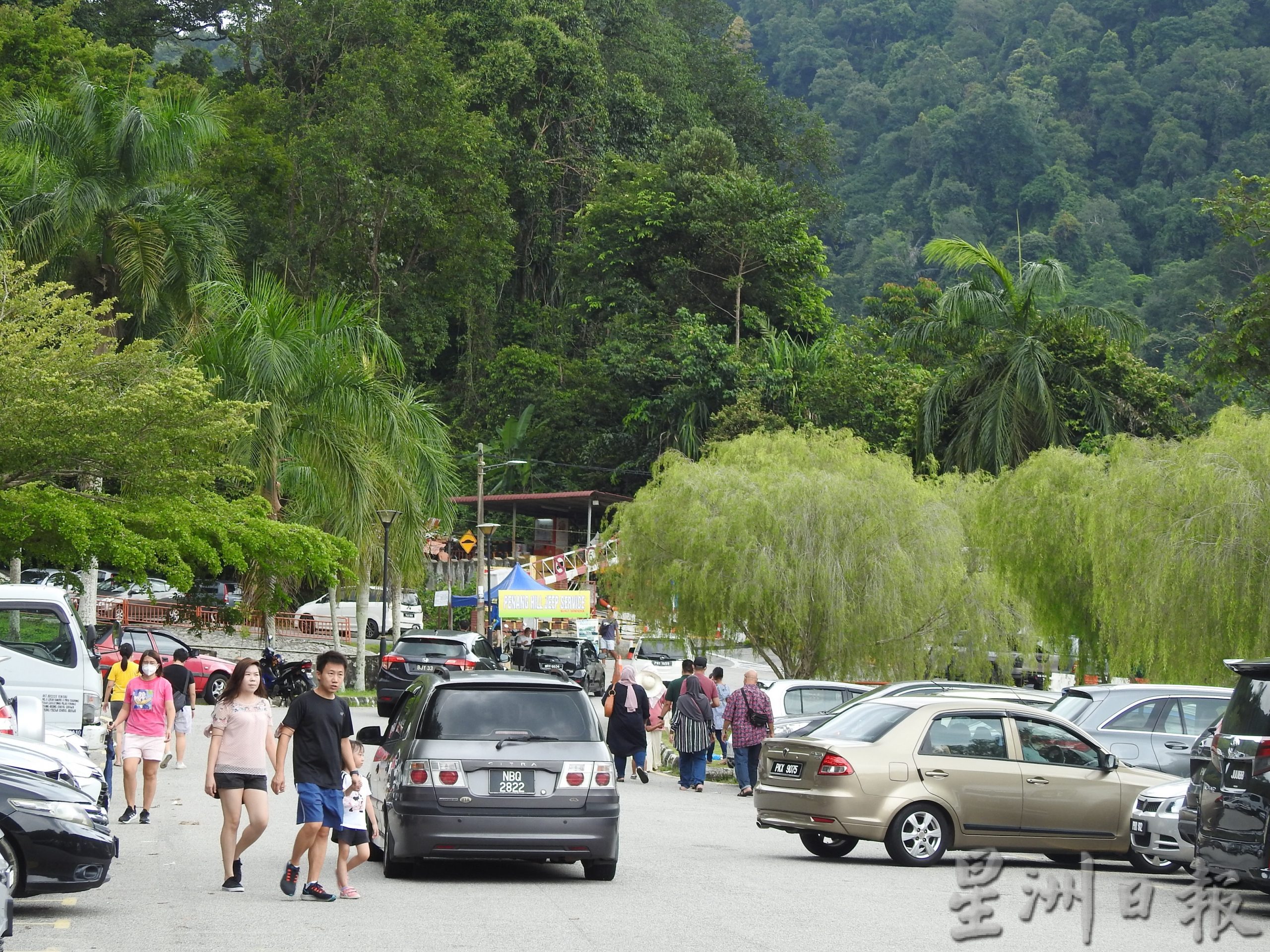 （大北马）游客脱下口罩呼吸百年植物园清新的空气