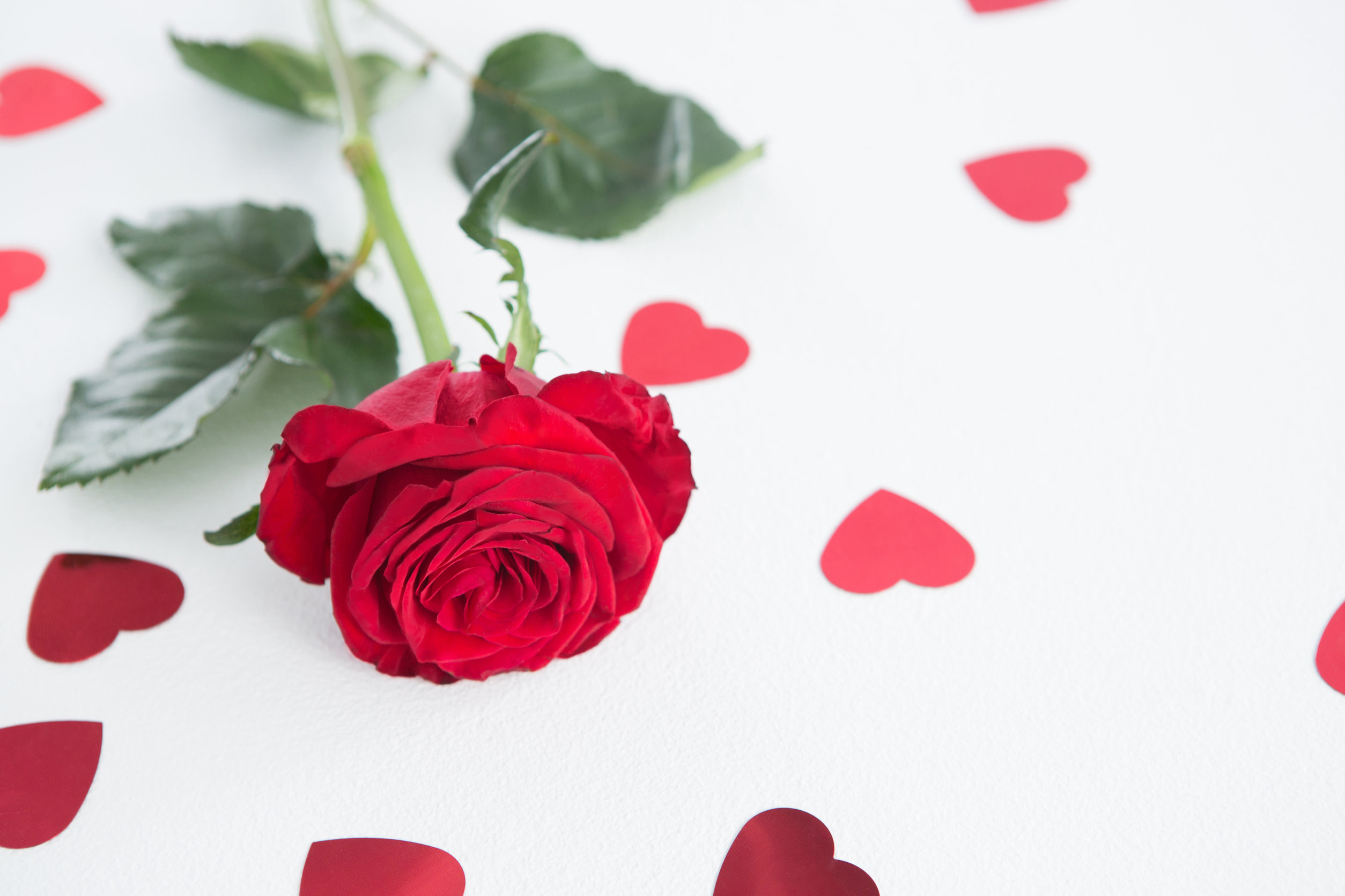 4/6城人小说——街角的祝福/房家瑜/房家瑜 Fong Kah Yee/980216-10-5888/fionefongkahyee@gmail.com/BSN 10995-41-00030080-0