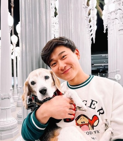 杨紫琼主演Netflix黑帮喜剧 全亚裔阵容