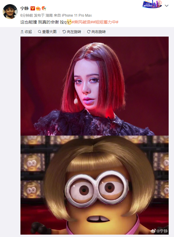 造型撞脸刘嘉玲 那英自嘲“丑版”