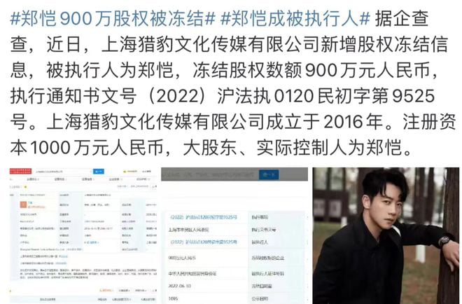 郑恺592万股权被冻结 涉合约纠纷遭起诉