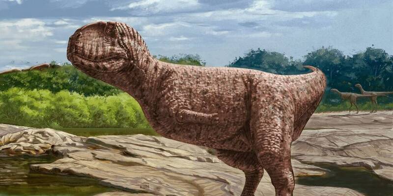 “斗牛犬脸”恐龙埃及出土！ 9800万年前称霸撒哈拉