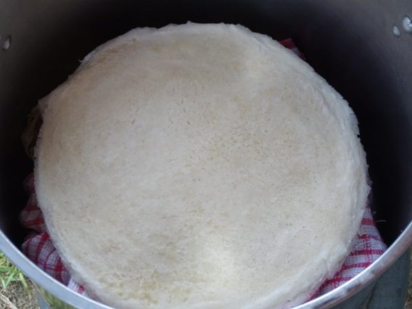 ★6月3日刊登／大霹雳封底主文／【餐车趴趴走】／“恐龙夫妇”开餐车 卖特色薄饼