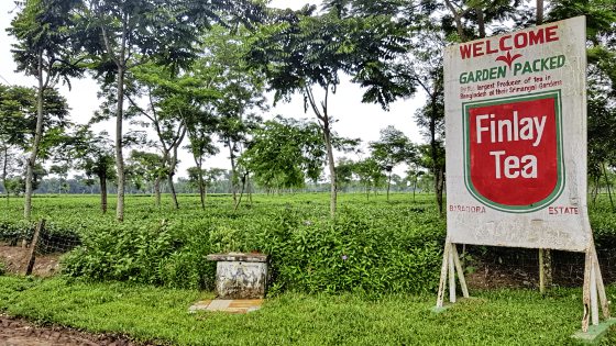 【孟加拉】孟加拉──泰戈尔笔下的金色国度