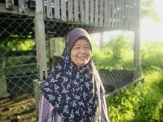 【母亲的影响力】安慰奖/母爱让我爱上阅读