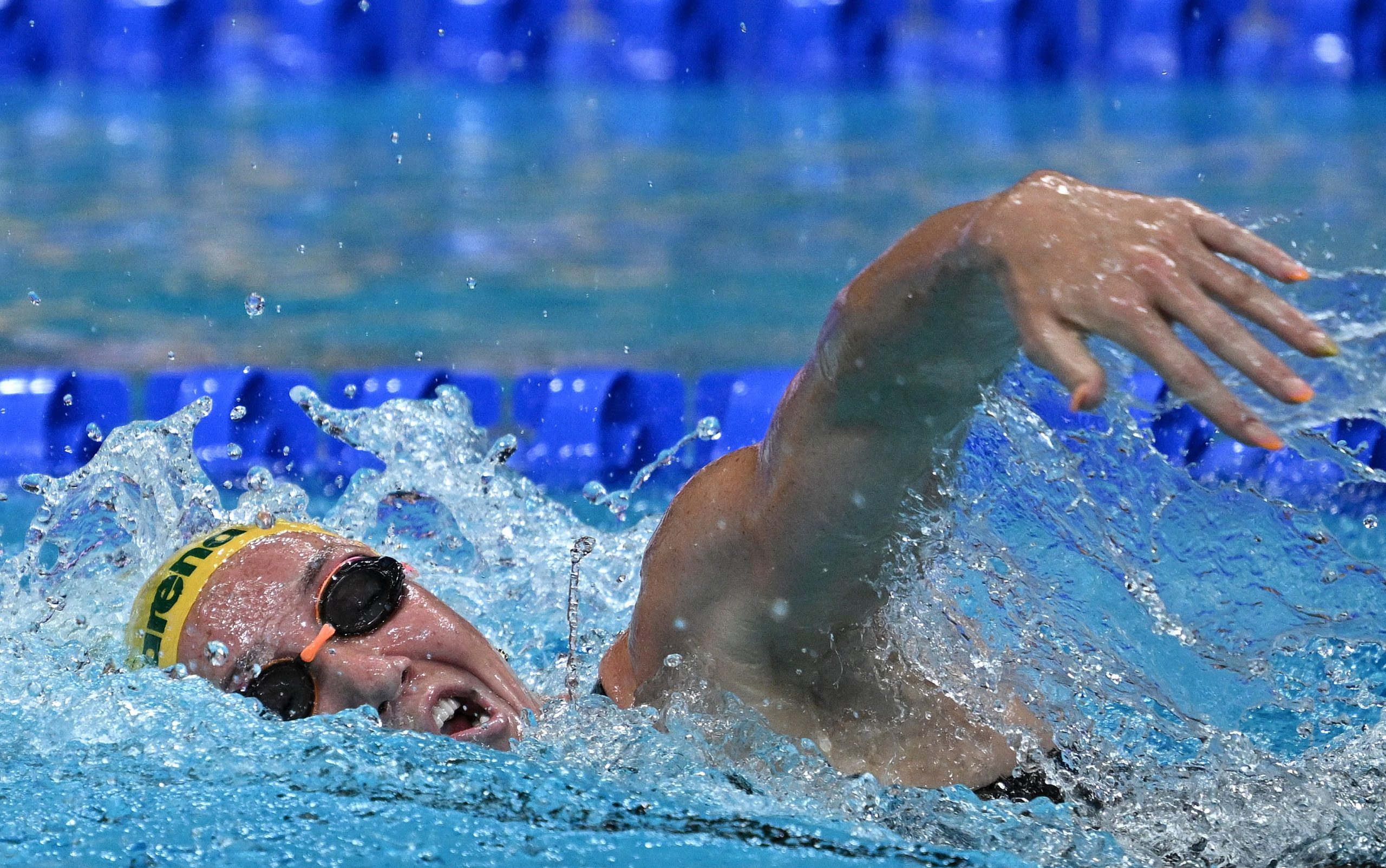 世界游泳赛爆发感染群  8人确诊大马蛙后难幸免