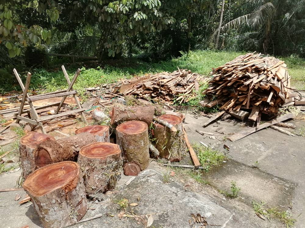 东：《林明寻味》之二／“阿定柴香烧肉保留传统，老饕游林明必尝。”