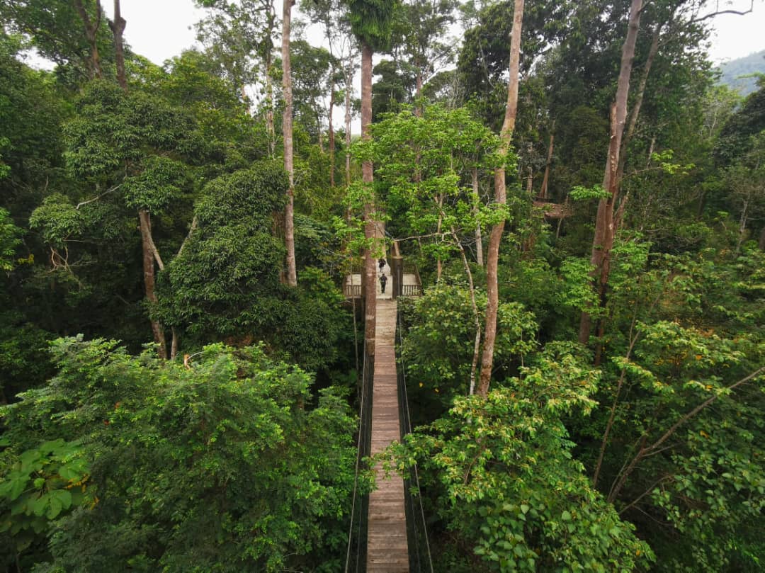 东：东游记：肯逸湖大象保育村等你来参观