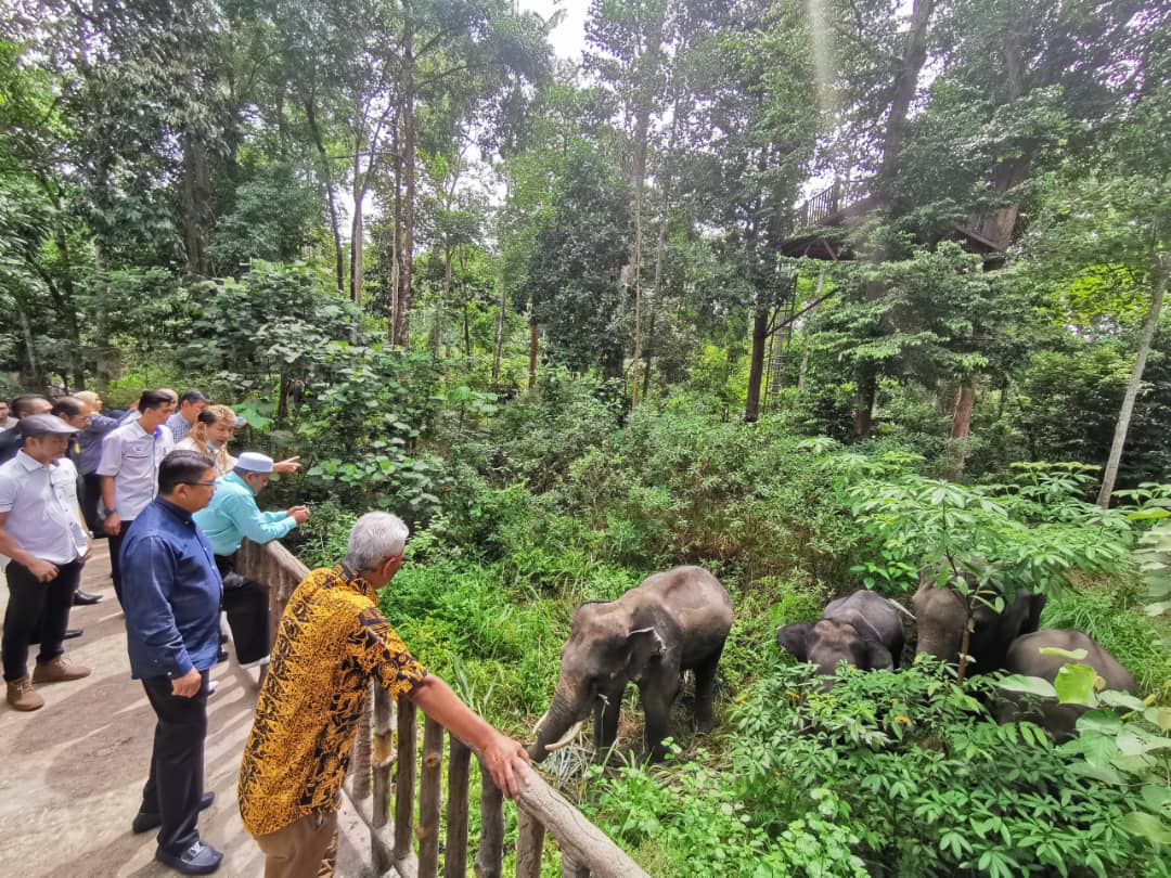 东：东游记：肯逸湖大象保育村等你来参观