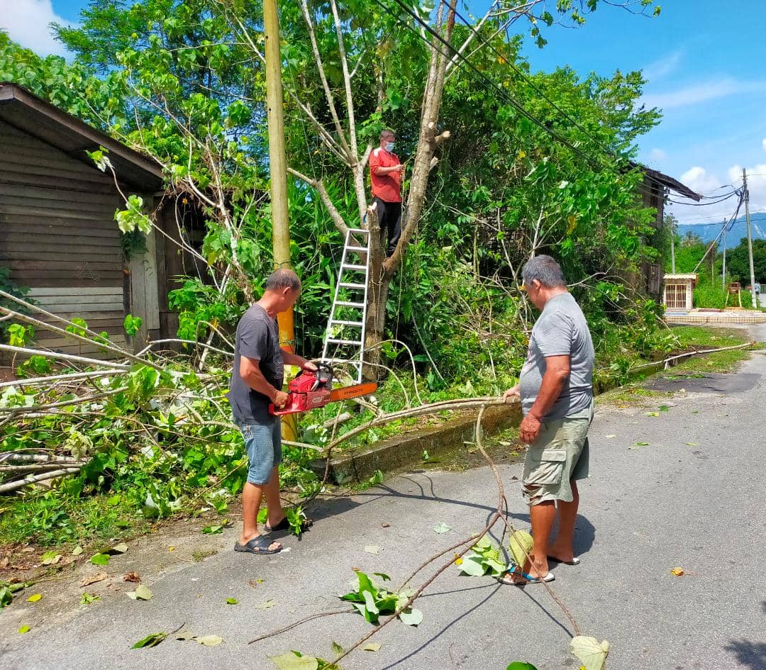 东:暹猛修剪树木