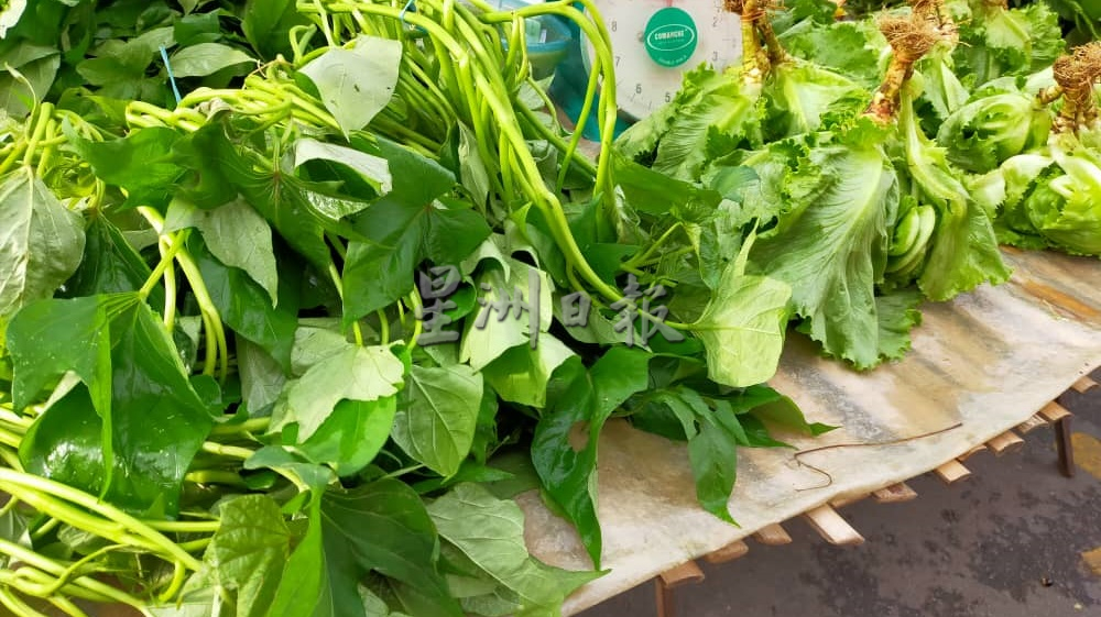 东:菜农种的本地菜自己售卖