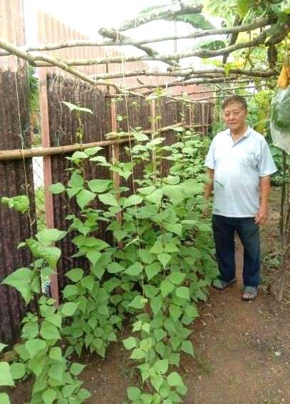 交大都会：有故事的人（6月14日）：行管令无法外出，李玉然打造家居菜园