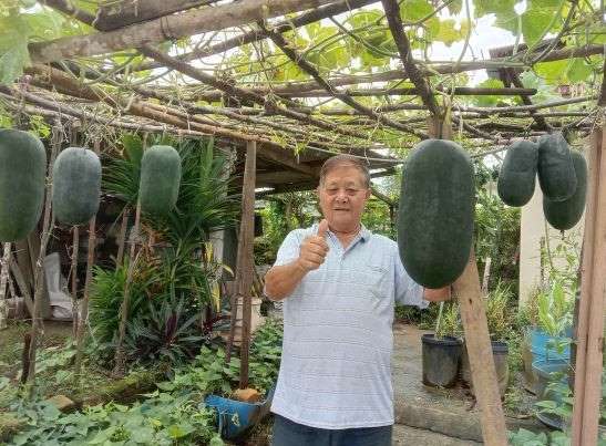 交大都会：有故事的人（6月14日）：行管令无法外出，李玉然打造家居菜园