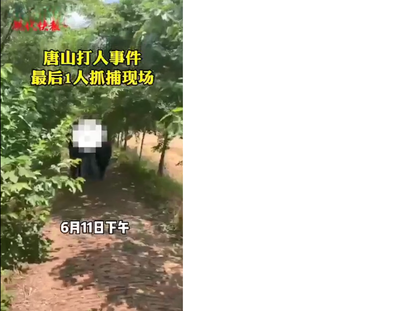 唐山围殴事件最后1人被捕 跑丢鞋子躲进草丛被抓