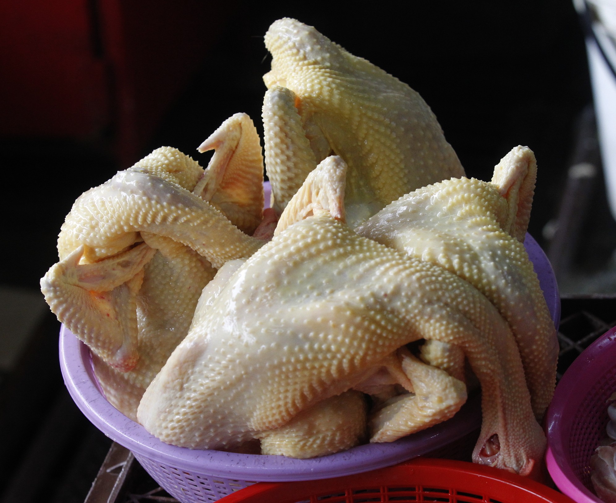 大都会/ME03头/鸡肉价格和供应情况 / 8图