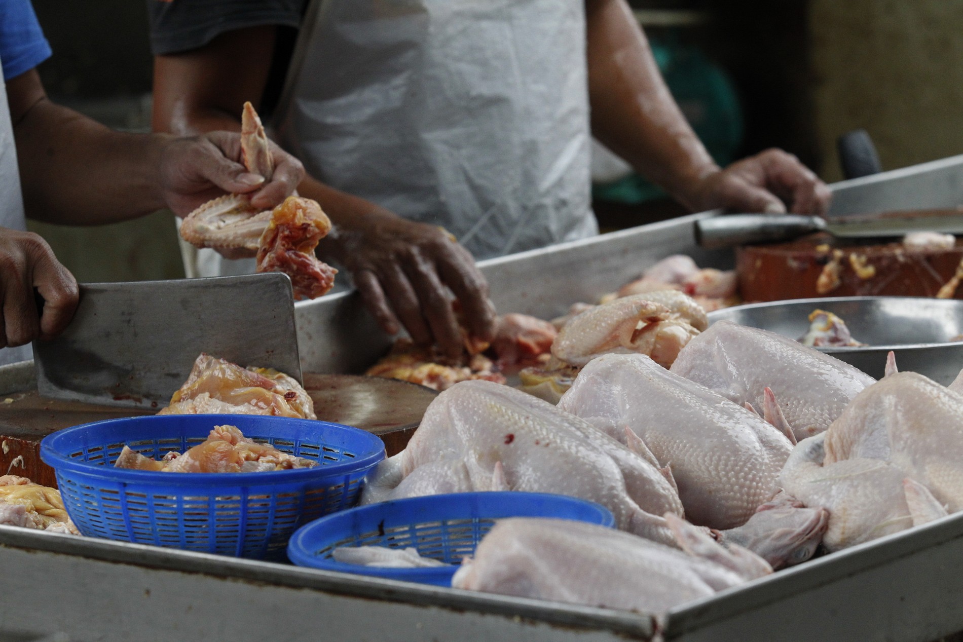 大都会/ME03头/鸡肉价格和供应情况 / 8图