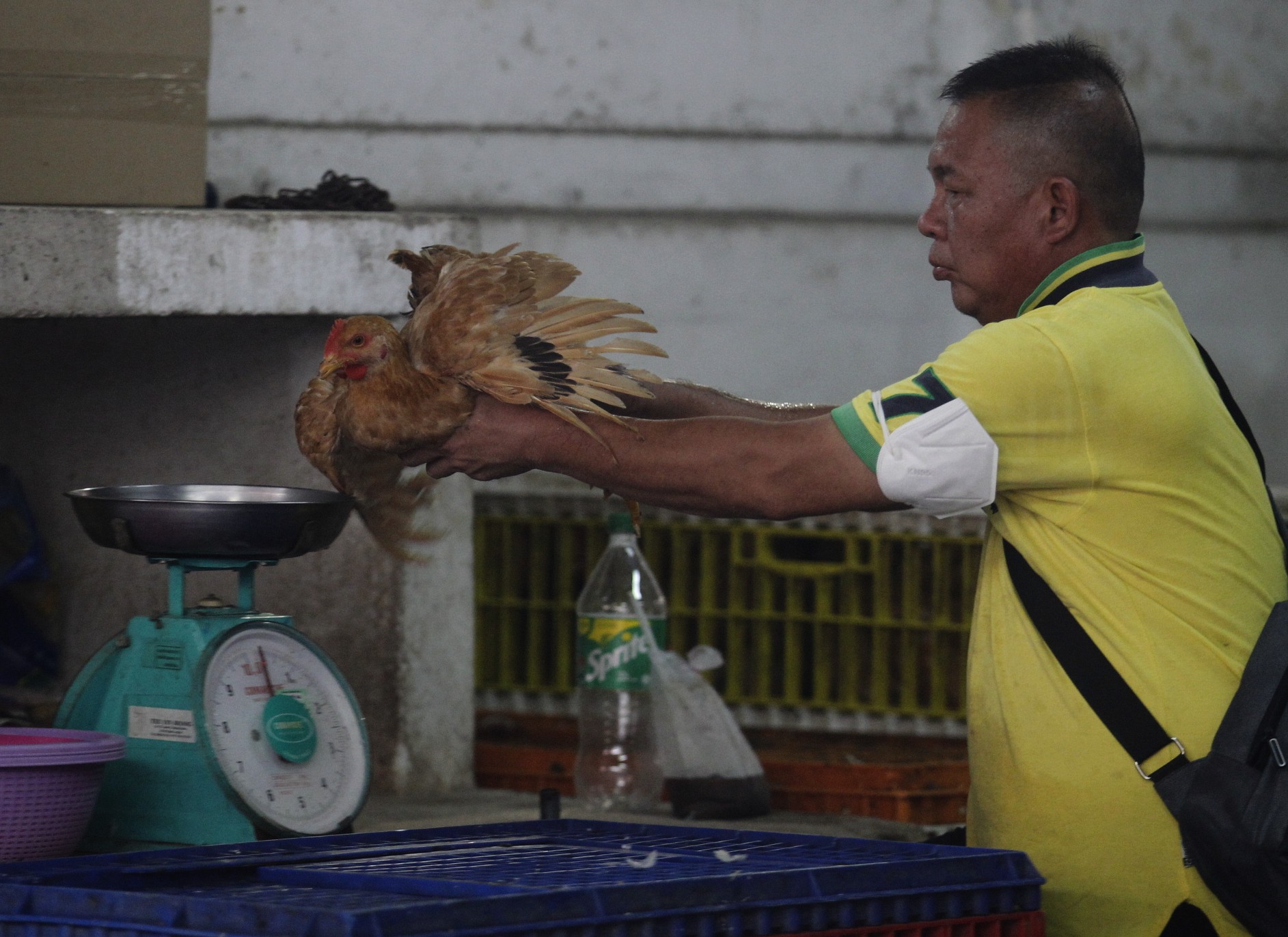 大都会/ME03头/鸡肉价格和供应情况 / 8图