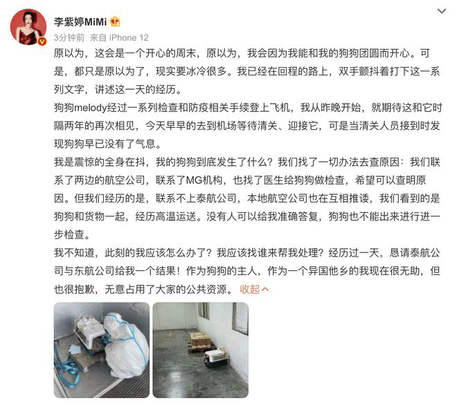 女星托运爱犬接机惊成尸体 心碎痛批航空公司互推诿