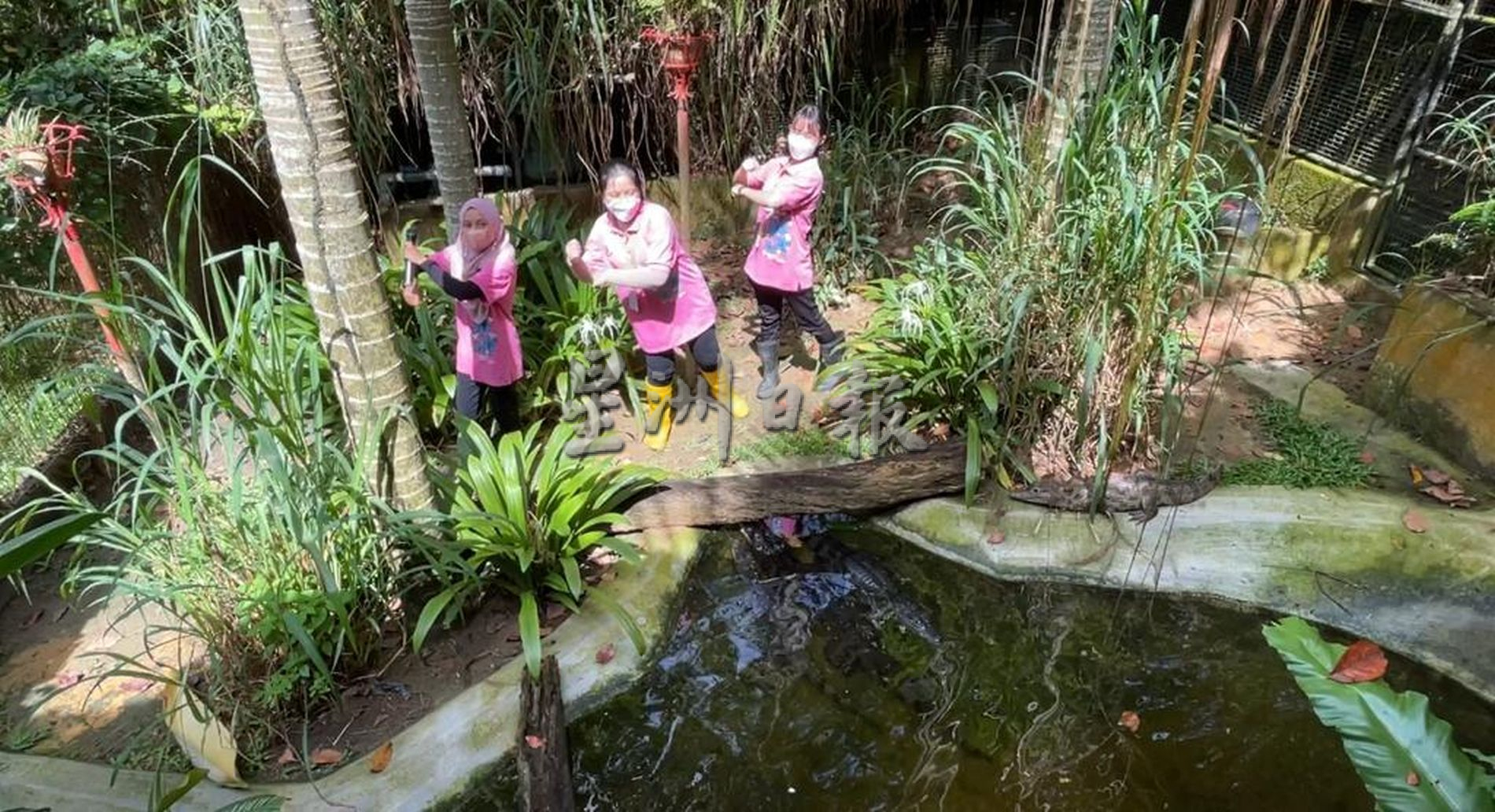 带你去找爱 | 尊敬欣赏另类相处方式  用爱融化冷血动物