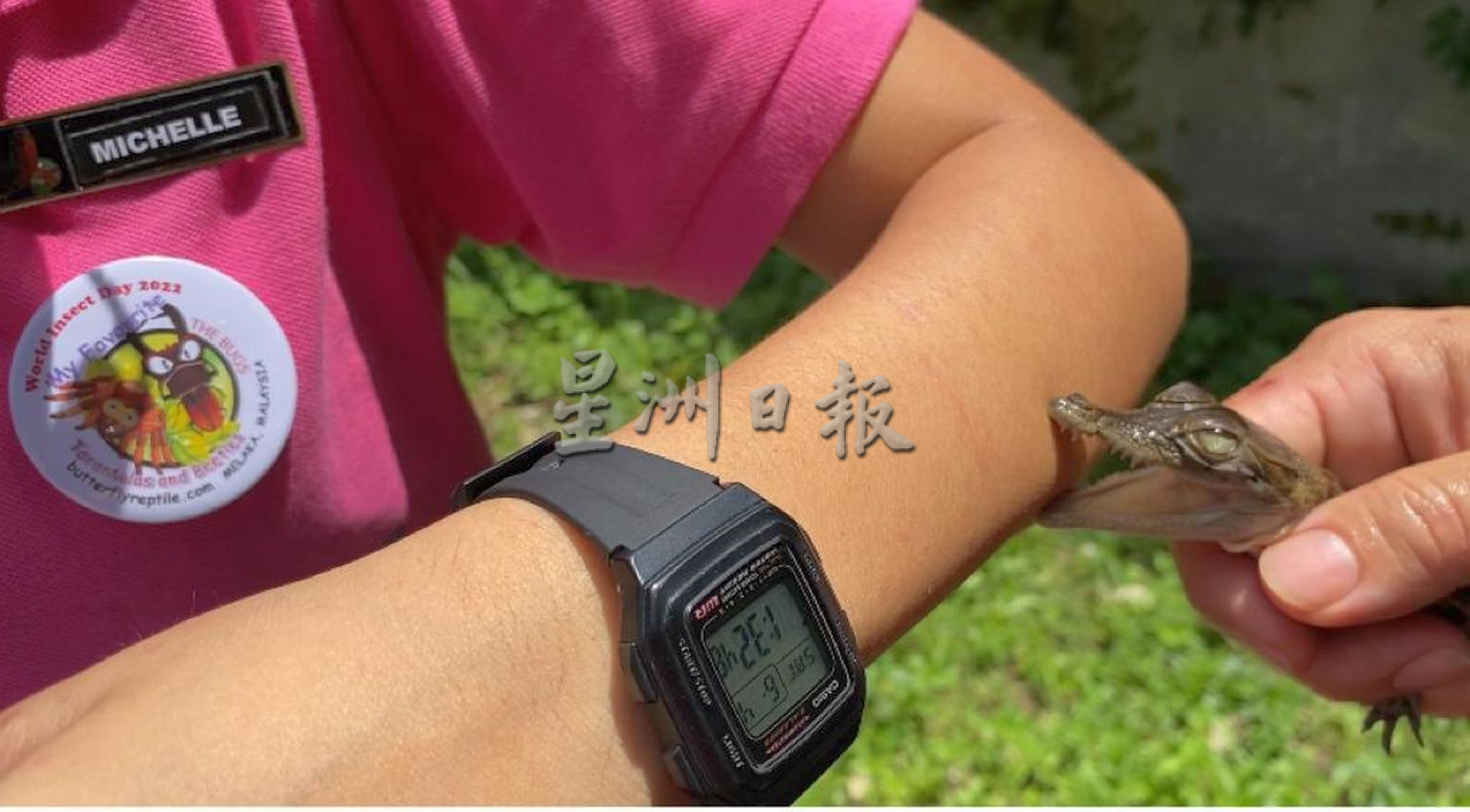 带你去找爱 | 尊敬欣赏另类相处方式  用爱融化冷血动物