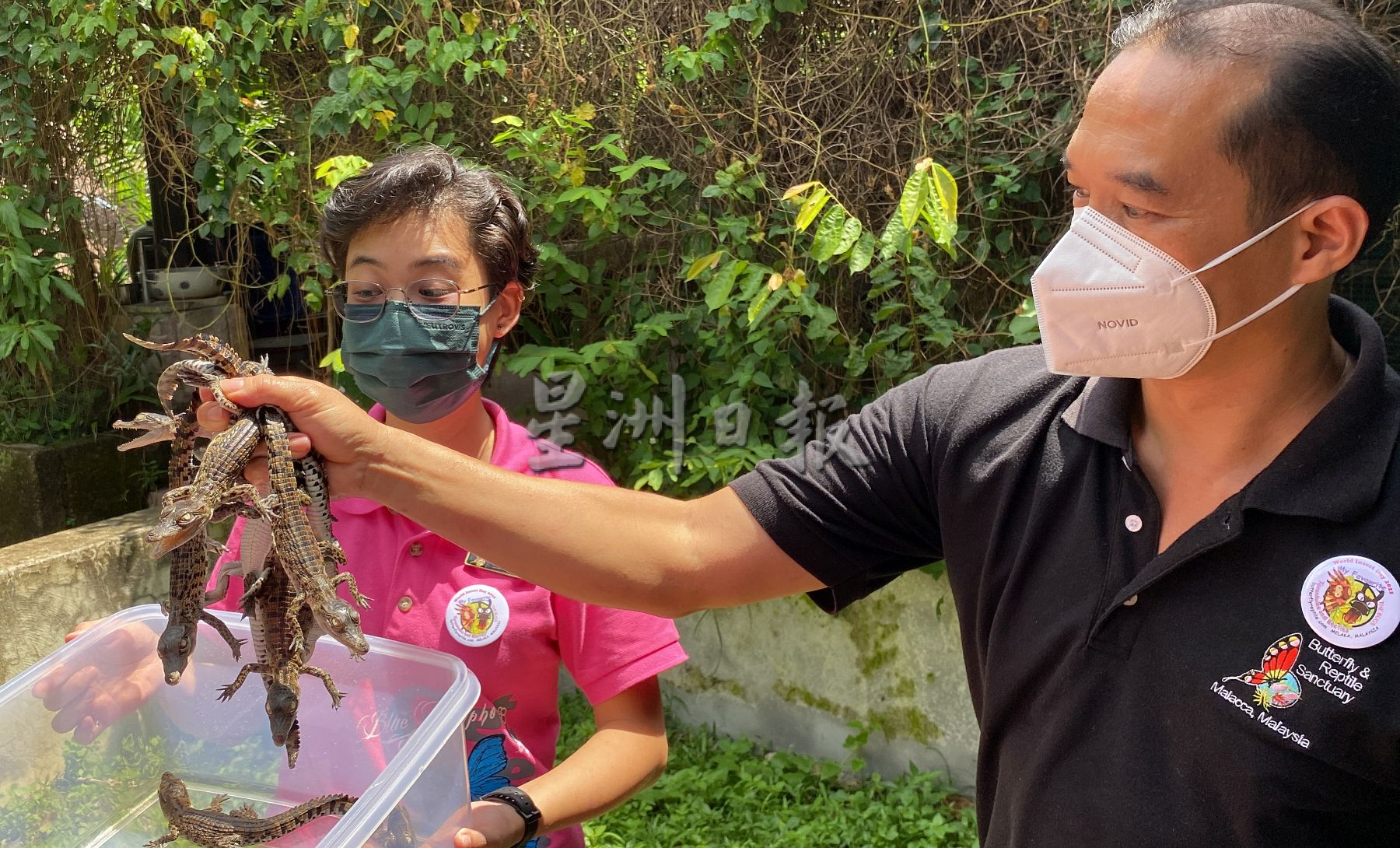 带你去找爱 | 尊敬欣赏另类相处方式  用爱融化冷血动物