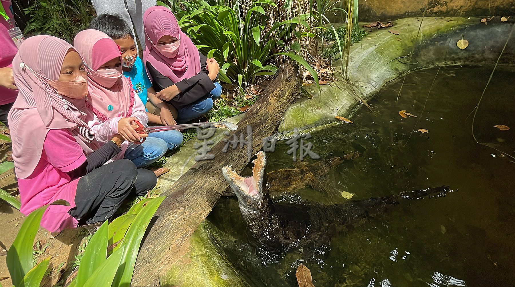 带你去找爱 | 尊敬欣赏另类相处方式  用爱融化冷血动物