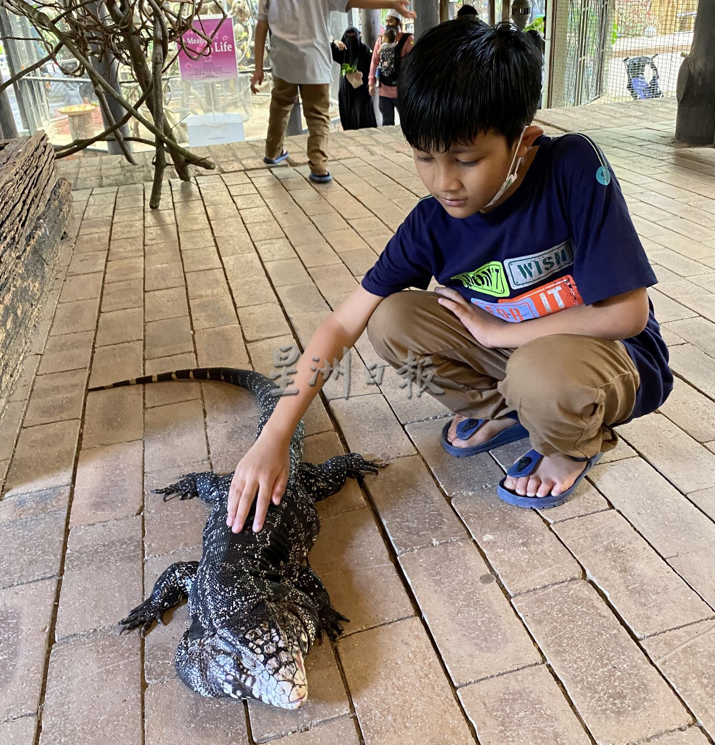 带你去找爱 | 尊敬欣赏另类相处方式  用爱融化冷血动物