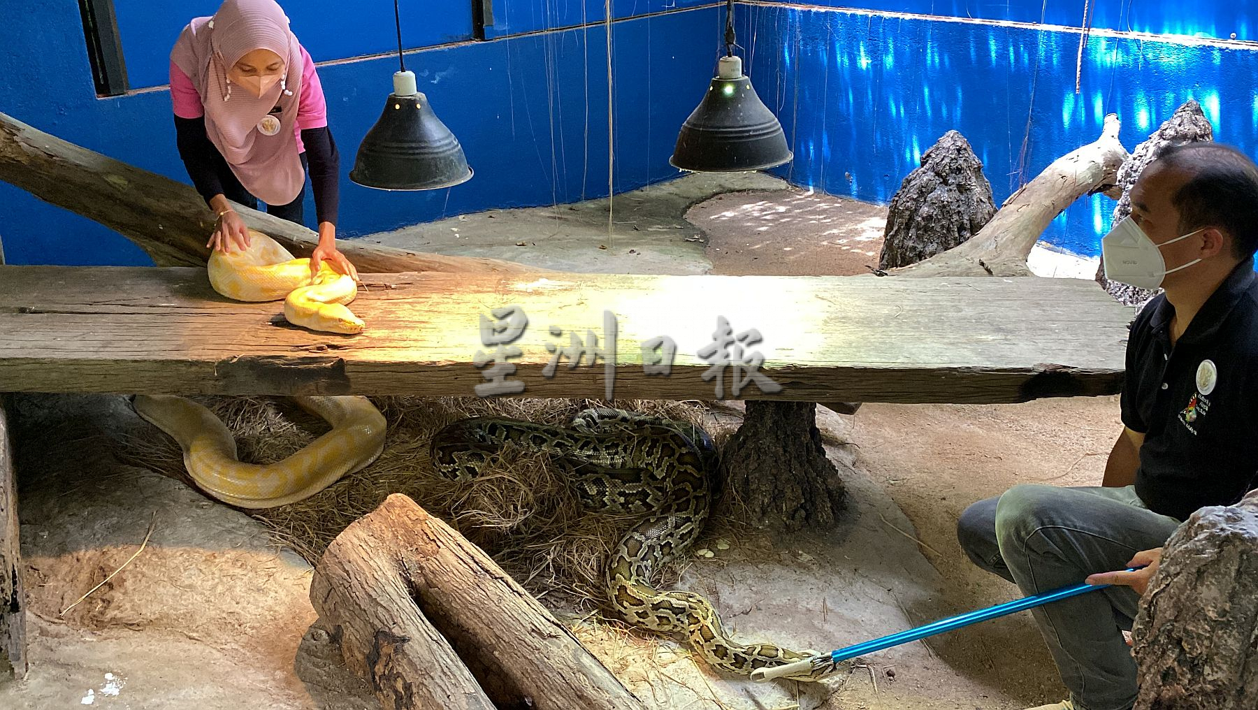 带你去找爱 | 尊敬欣赏另类相处方式  用爱融化冷血动物