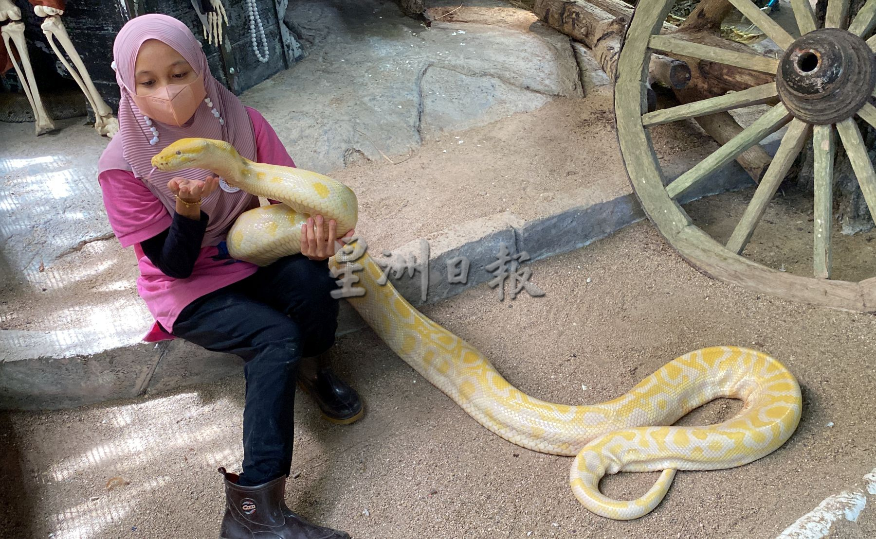 带你去找爱 | 尊敬欣赏另类相处方式  用爱融化冷血动物