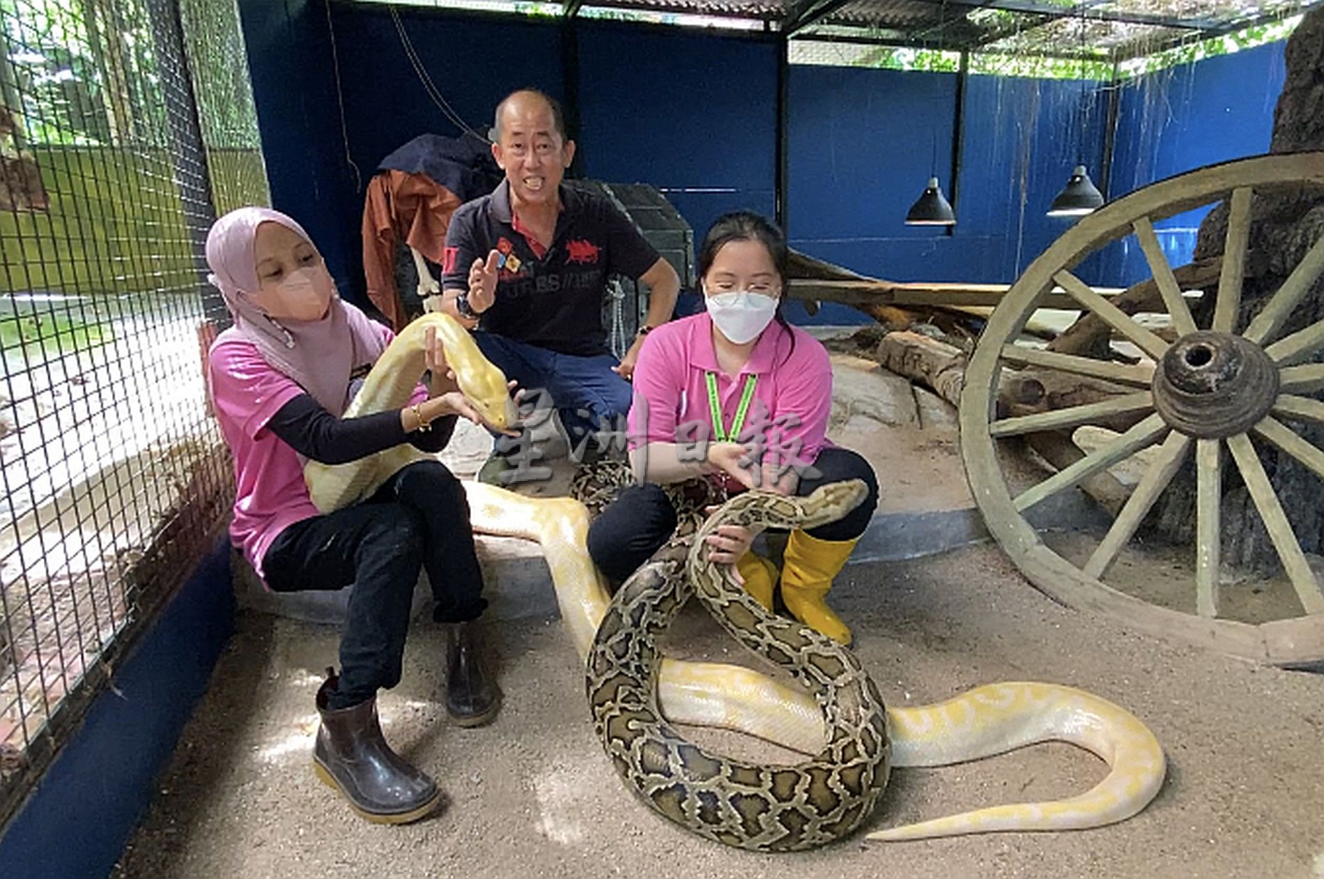 带你去找爱 | 尊敬欣赏另类相处方式  用爱融化冷血动物
