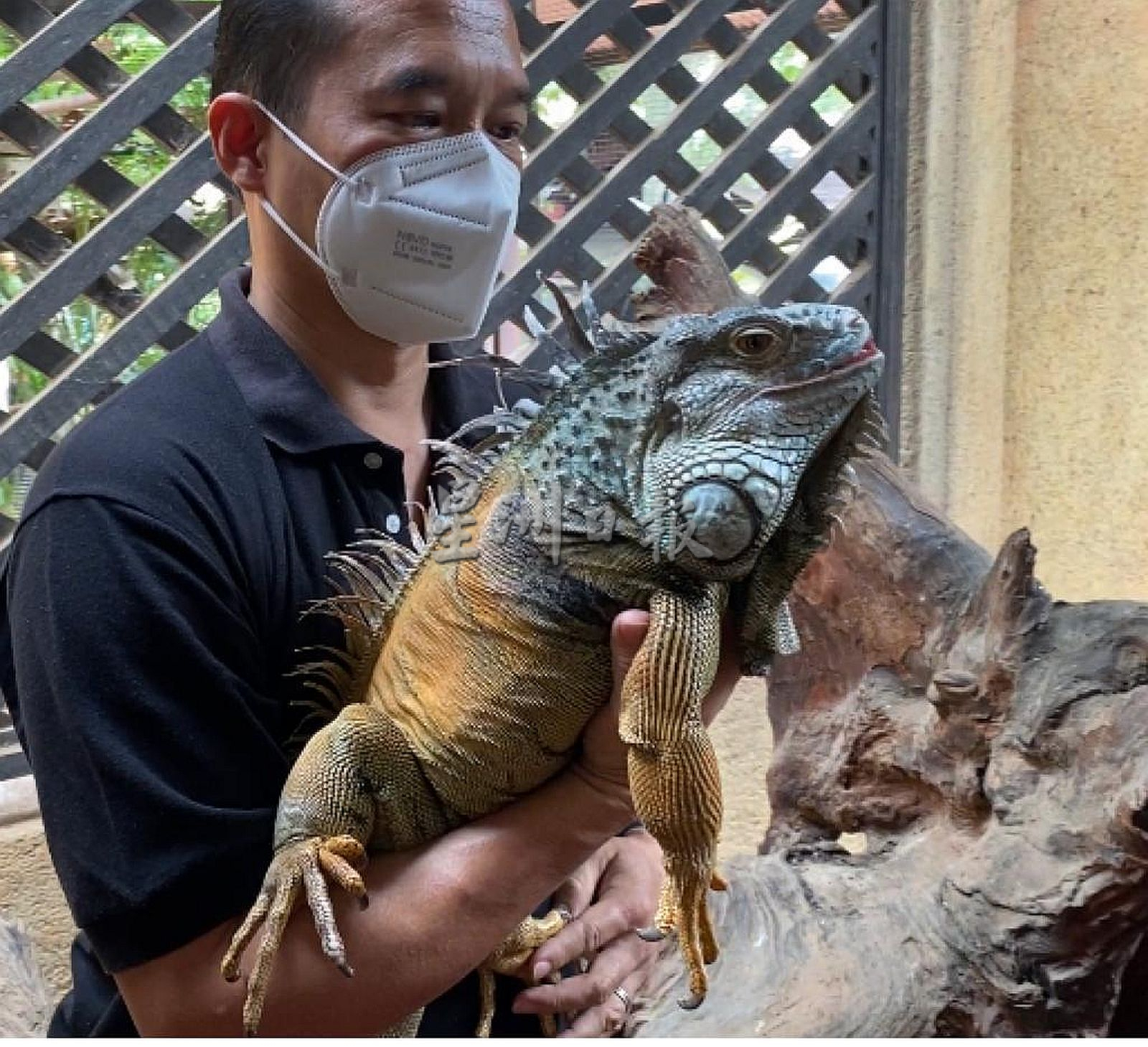 带你去找爱 | 尊敬欣赏另类相处方式  用爱融化冷血动物