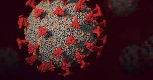 我国首现传播力超强BA.5及BA.2.12.1确诊病例