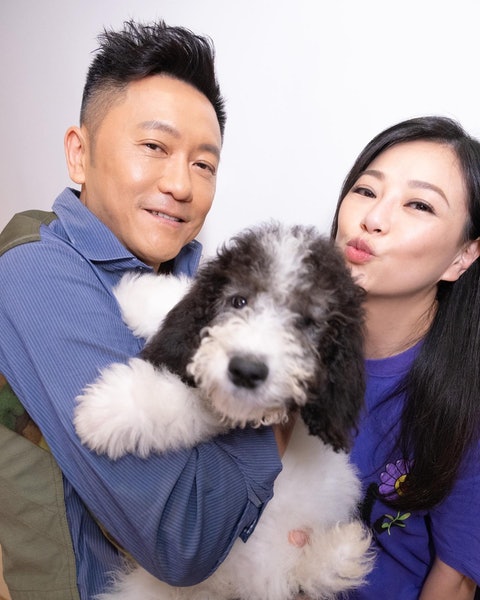 护名犬用驱狗器吓唐狗 刘小慧惹众怒急道歉网更怒