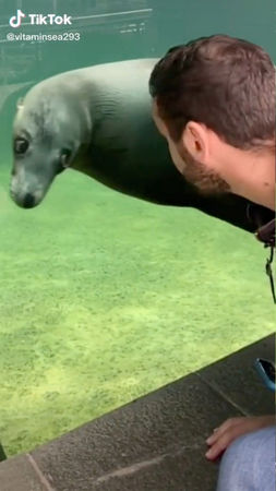 拼盘/他游海生馆遇海狮“飘过来睁眼怒瞪” 网神回:上次的妹不是这个