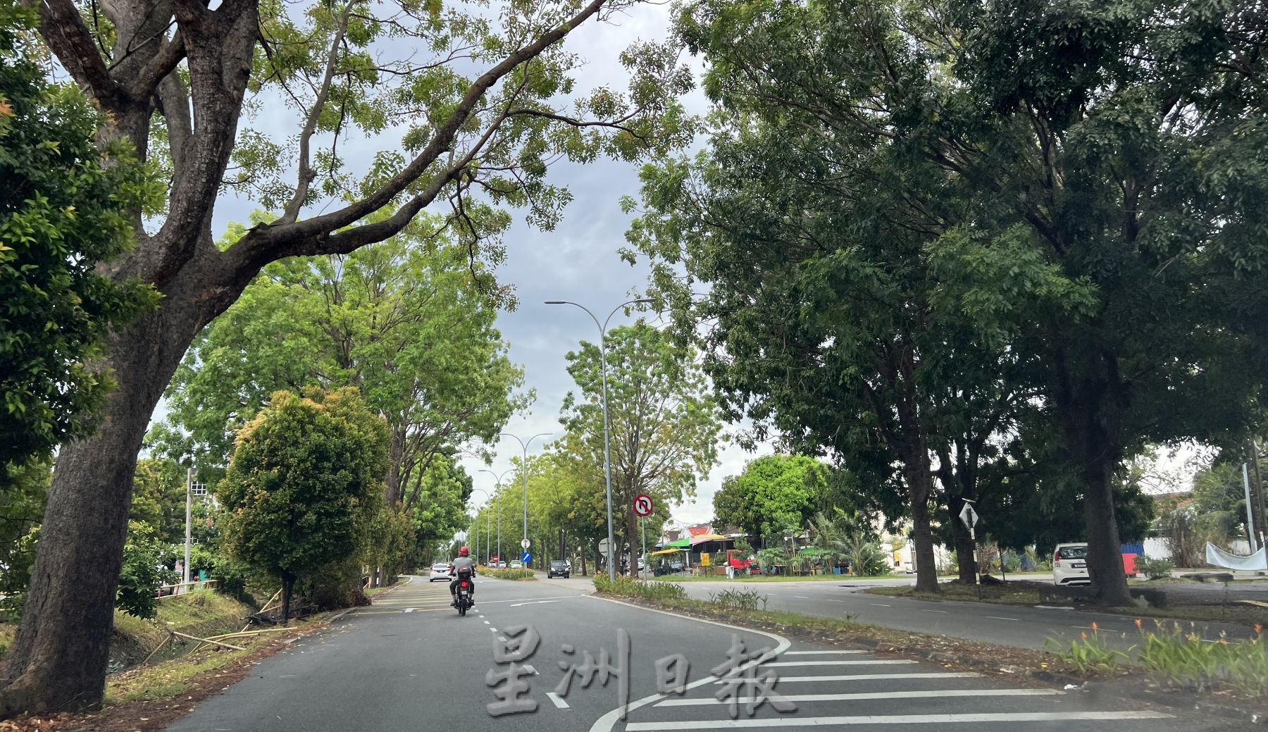 损毁拆除压弯 栏杆杂乱防不了撞