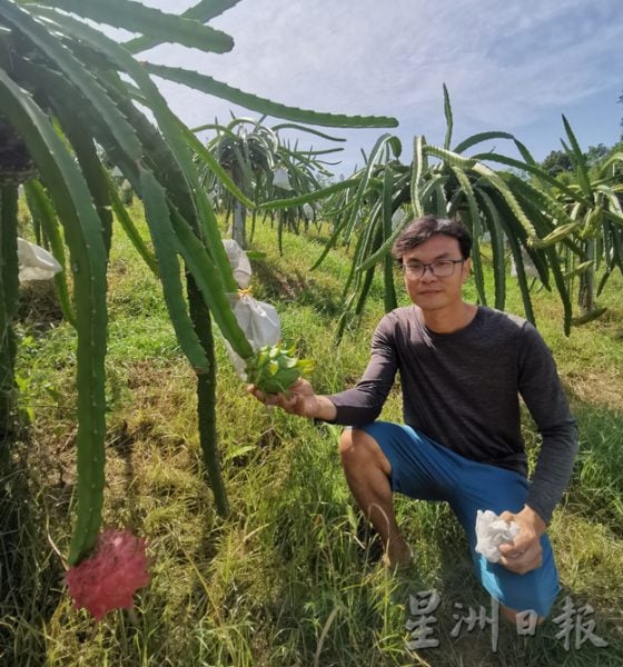 新世代农夫对应粮食危机,新世代农夫对应粮食危机