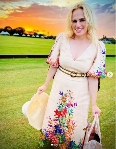 晒女友合照宣布出柜 丽贝威尔森：我需要的是公主	