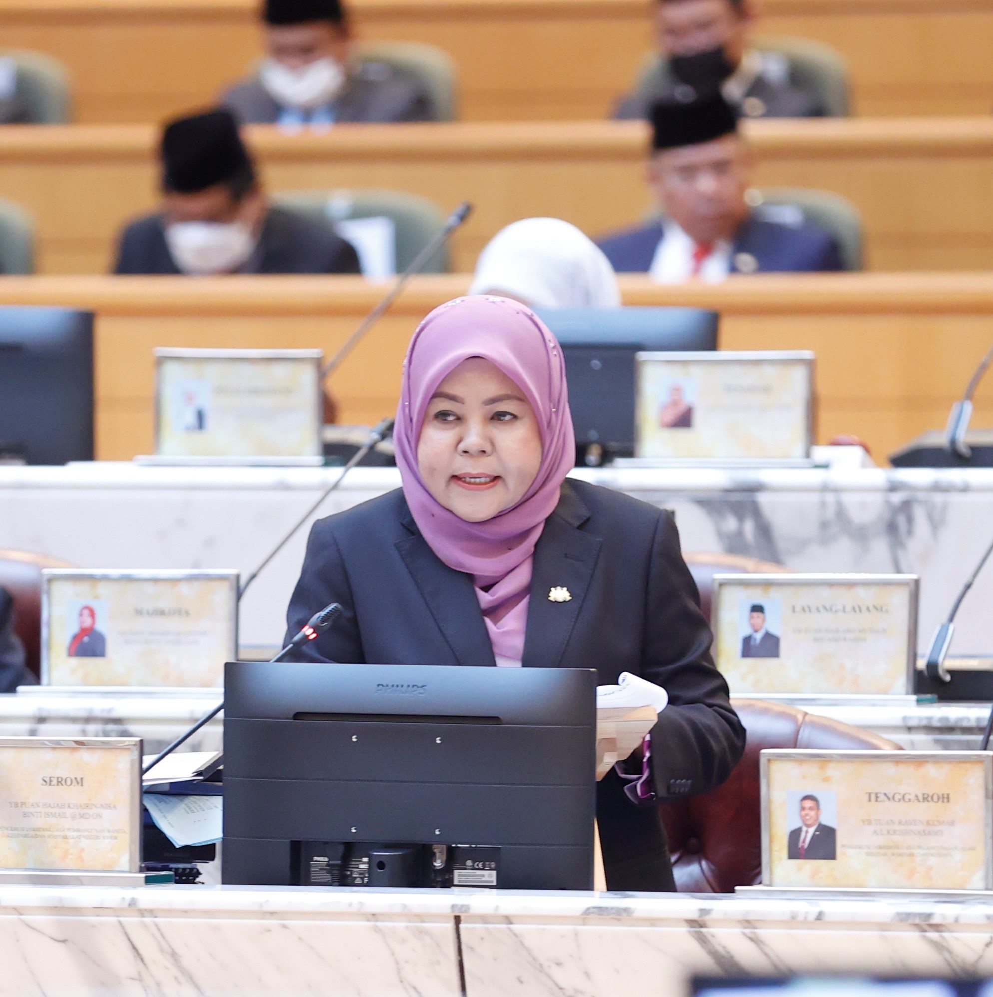 柔:【州议会】下半段7文之2:凯琳妮莎:州政府也关注“留守妈妈”的处境,并提供援助