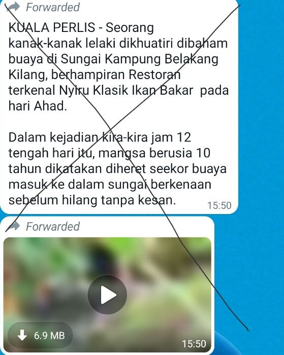 求真(全国版)传玻港口男童被鳄鱼攻击,警调查证实假消息